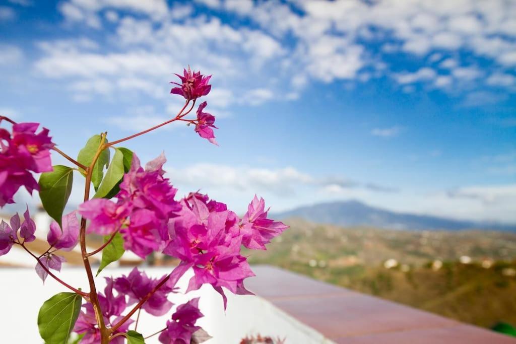 Rooftop Terrace & Panoramic Mountain View'S Villa Cutar Exterior photo